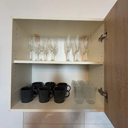 4 * 파르두비체